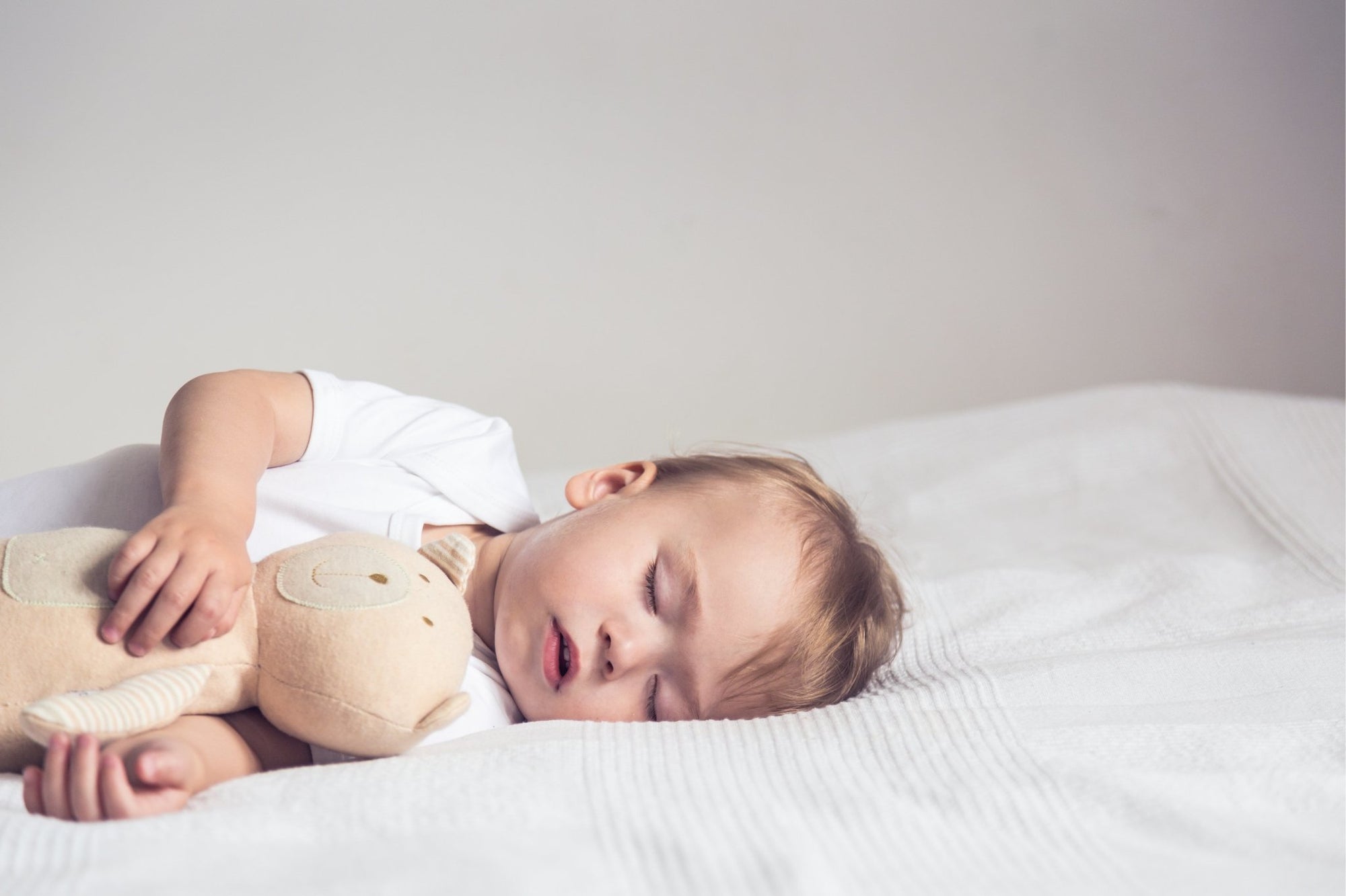 Richard Ferber Sleep Chart