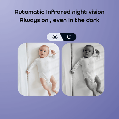 Hubble AI Vision Twin