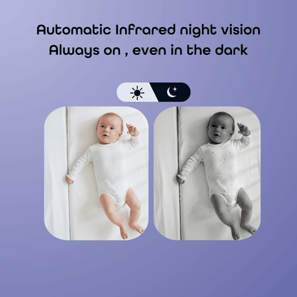 Hubble AI Vision